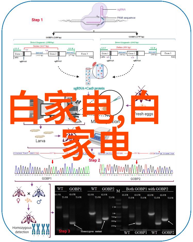 摄像机租赁平台我是如何在一场重要会议上捡到宝的