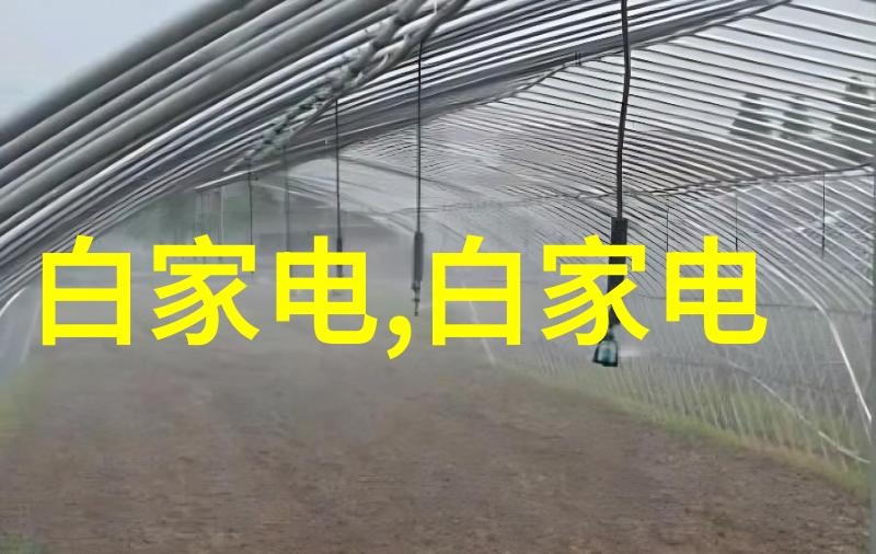 道歉送什么花选择合适的道歉花篮