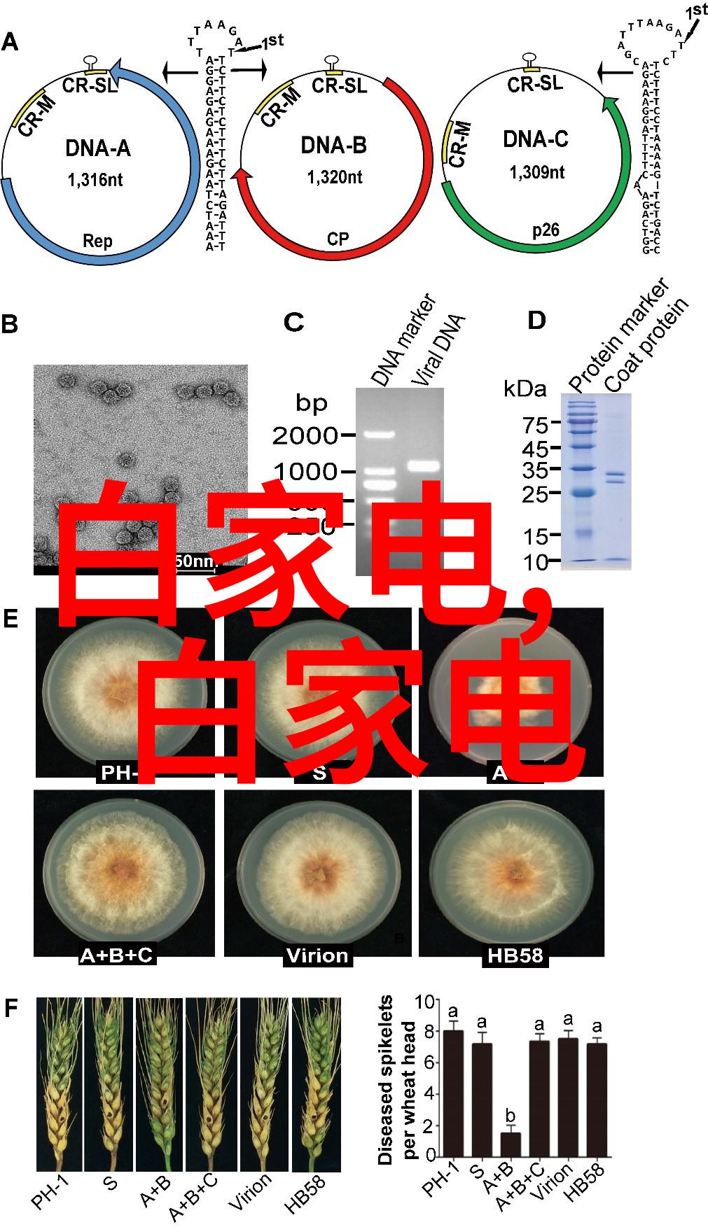 消毒仪器的诗篇探索常用灭菌设备之美