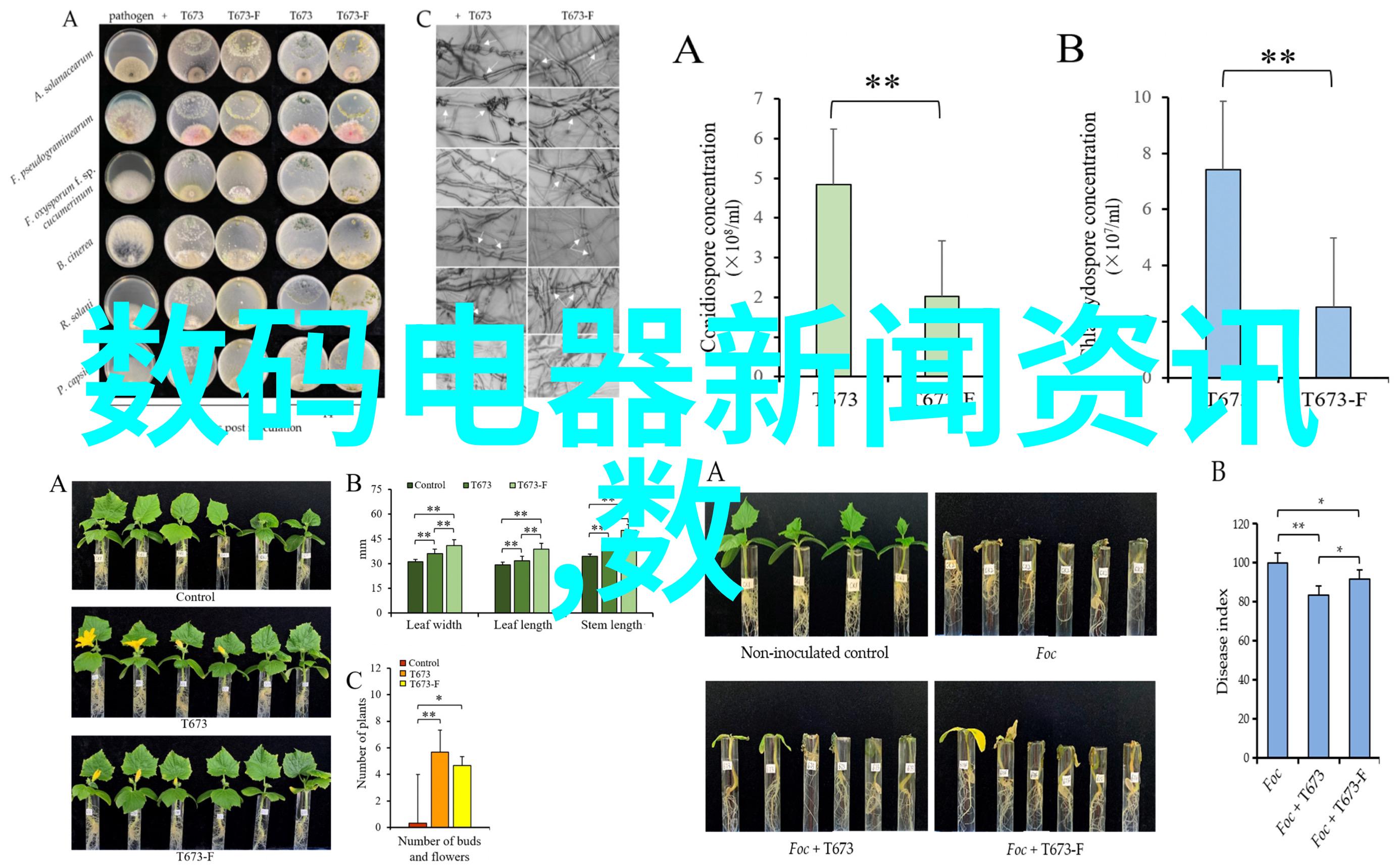 转向生产力中心周边社区的主要不锈钢加工单位位置介绍