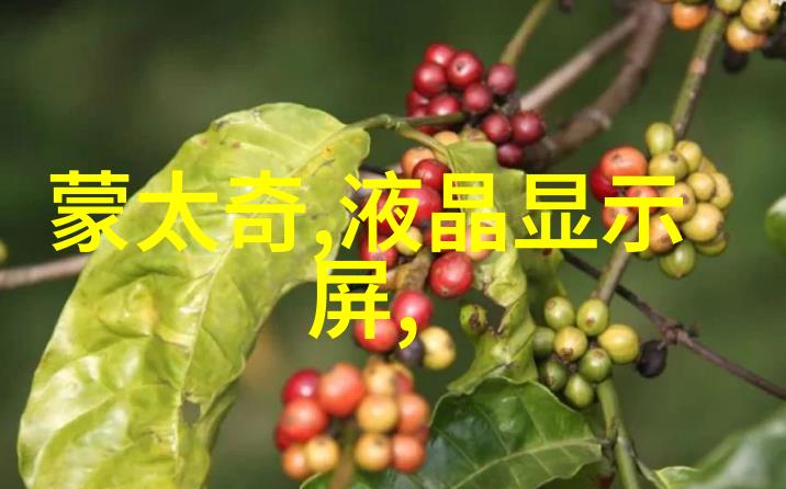 我和尼康d5000的故事从零到大师如何用尼康d5000拍出精彩照片