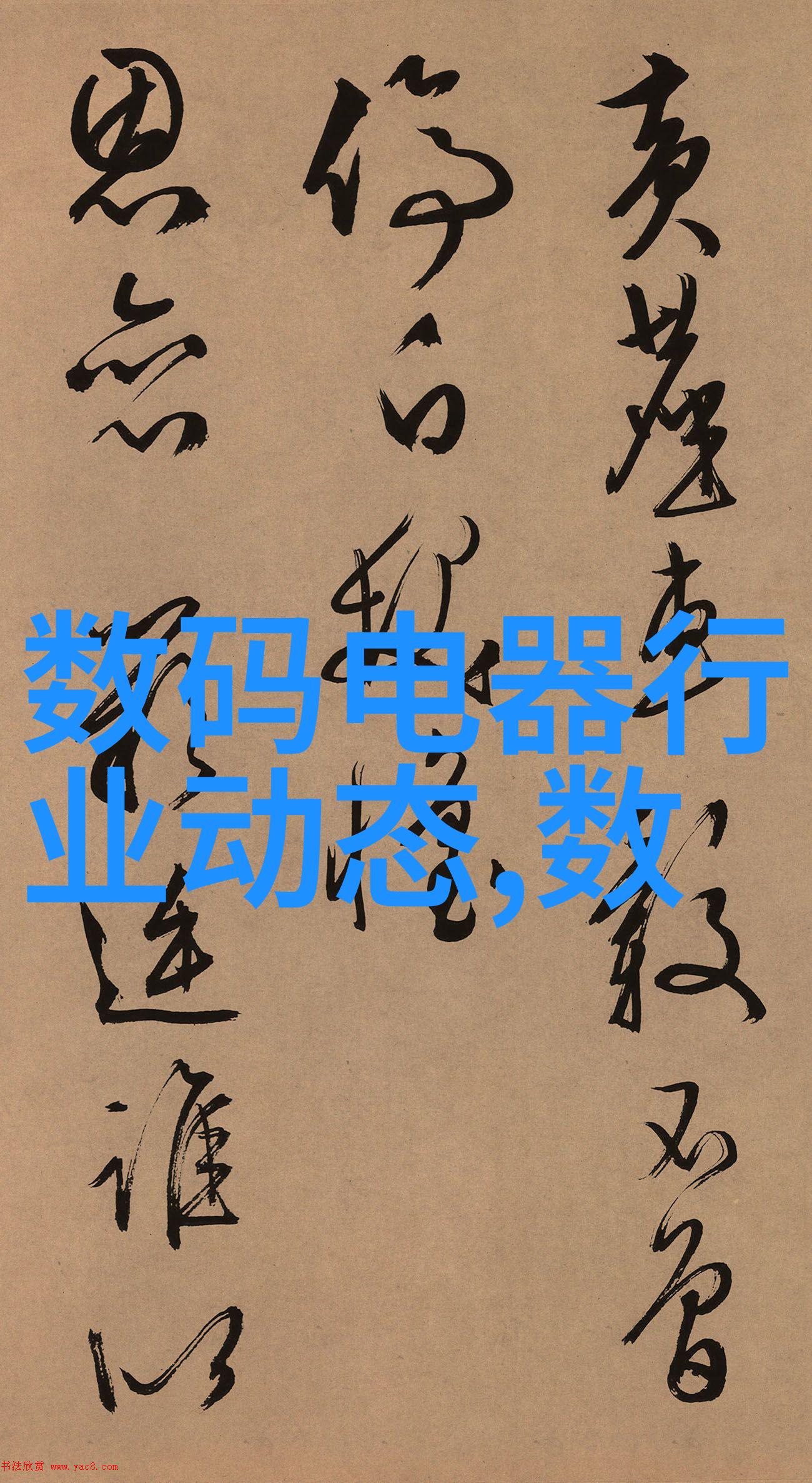 信息安全测评全解从漏洞扫描到风险评估的完整指南