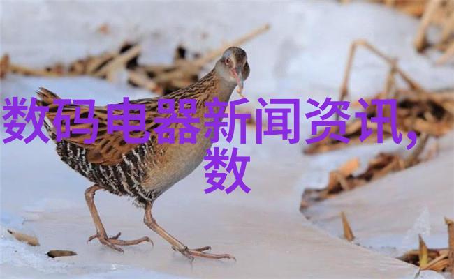 我和水管的故事PVC给水管做了个全新造型你说怎么看