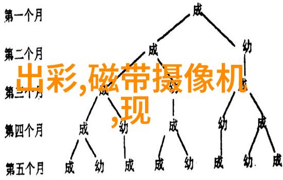 水电工程施工管理体系构建与实践应用