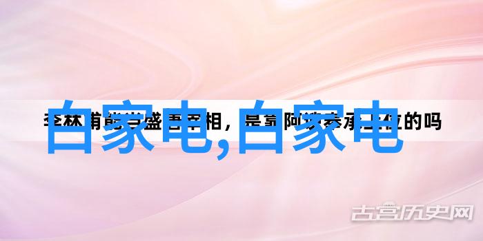 主题-儿子以后妈妈的比就是你的了继承与责任的双重面貌