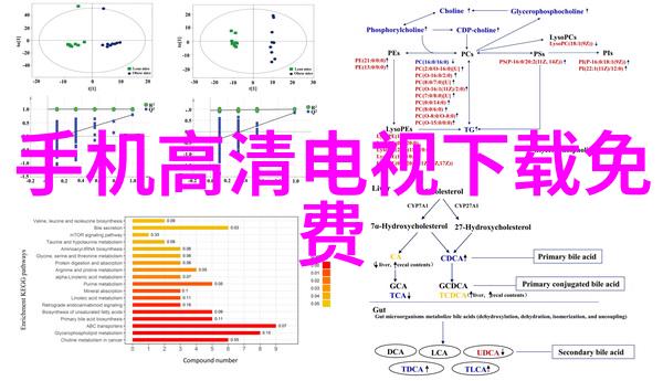 2023索尼世界摄影大赛捕捉光影之美的全球艺术盛宴