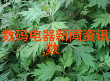 如何解决十字门冰箱漏水问题与洗衣机的巧妙搭配技巧