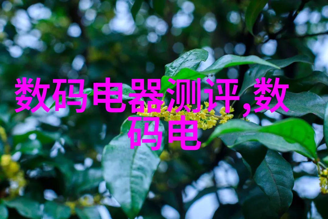 友谊-花语中的友情探索代表友谊的五种美丽植物