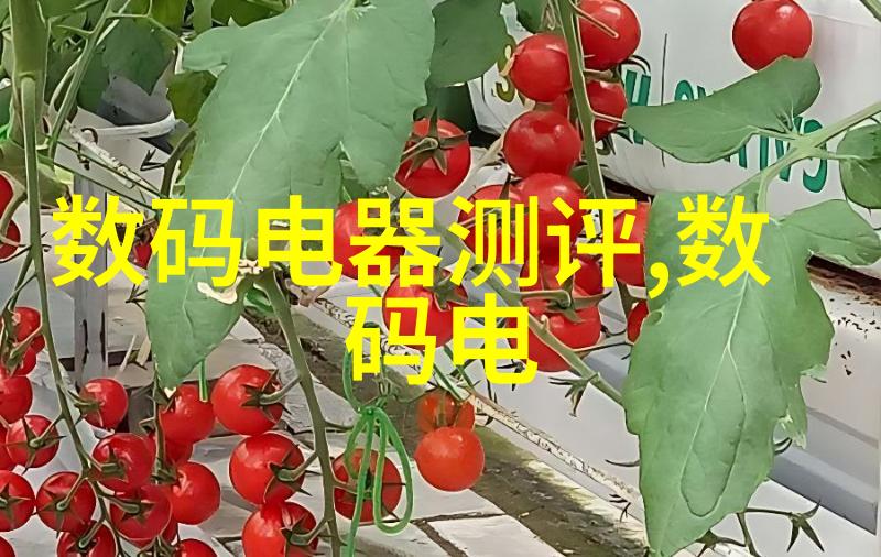 文化砖历史的纹理与时代的语汇