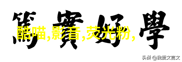 静态中的动态如何在静止画面中展现运动与活力优秀摄影技巧分享