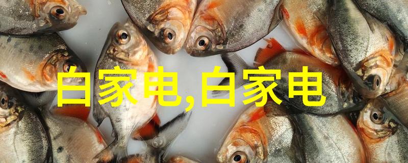 西施的东方练武