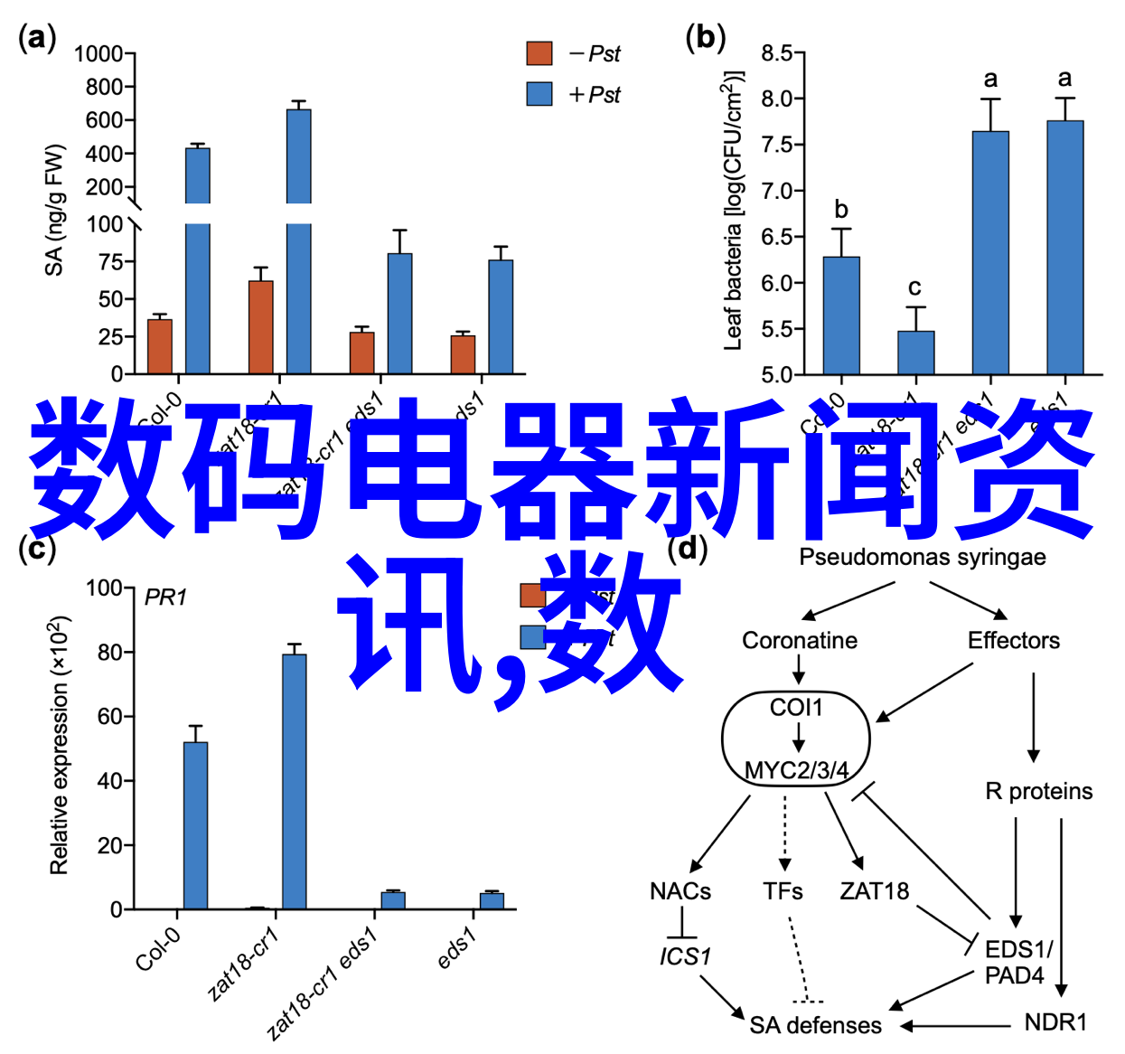 水利水电工程职业技术学院培养未来水利事业的英才