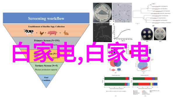 家居美学从人人装修网的故事里寻找生活的色彩