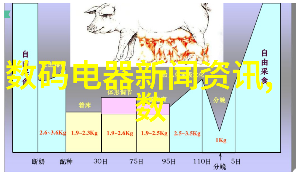 装修设计软件我是如何用室内大师轻松搞定家居改造的