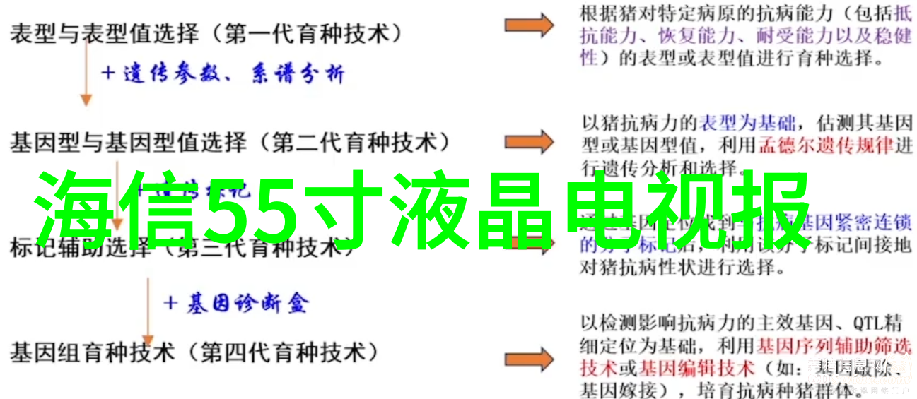 花语大全你知道吗这些花儿都有自己的秘密语言