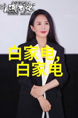 陶瓷组合连环轻瓷全瓷填料之谜丝网波纹填料型号规格解析