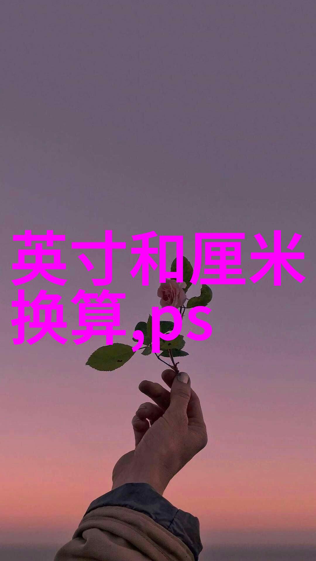 探索压力仪器精确测量与安全应用的艺术