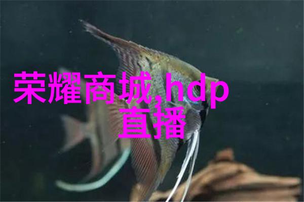 探秘榴莲app福引导大全揭秘如何通过一款应用提升生活质量