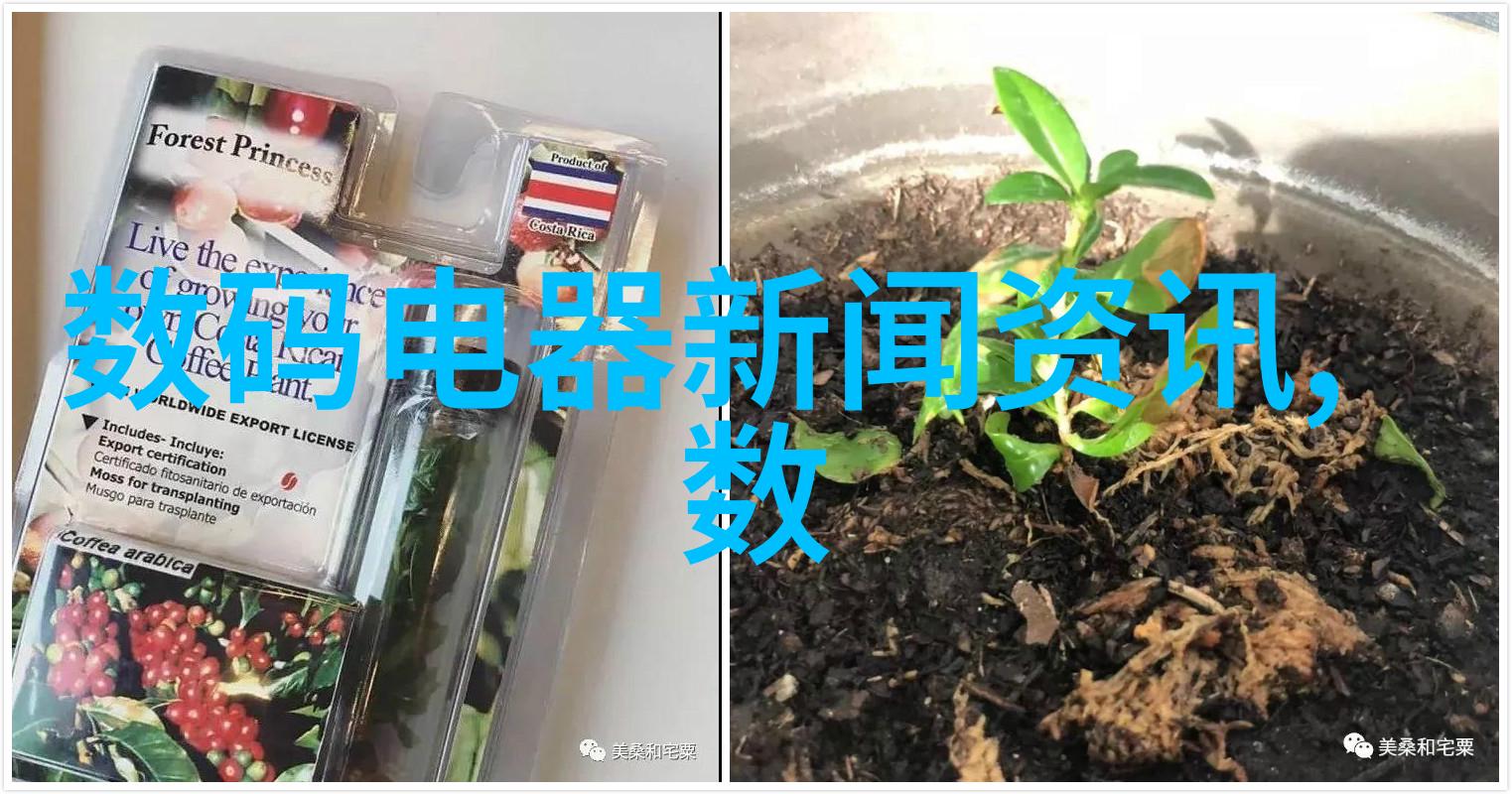 拍照技巧揭秘如何让你的照片像专业人士拍的一样美