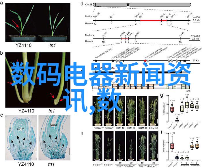 工业水洗机的运行维护与节能改造策略