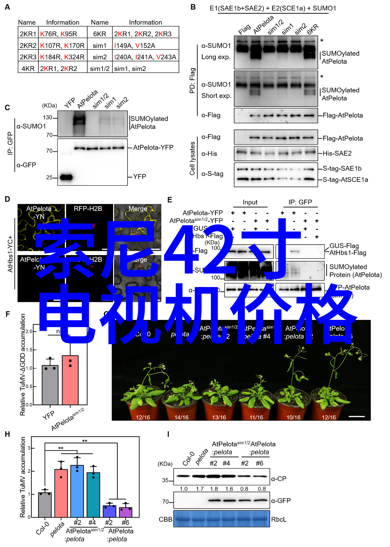 液晶革命回顾这款技术如何改变了家用电视产业