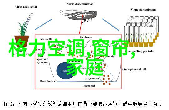 种子启航探索朴妮唛世界的新篇章