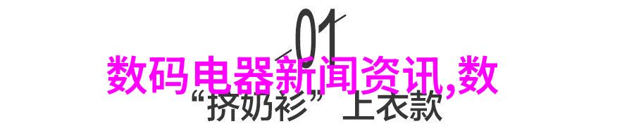 家居空间的艺术匠人探索装修设计师的创意世界