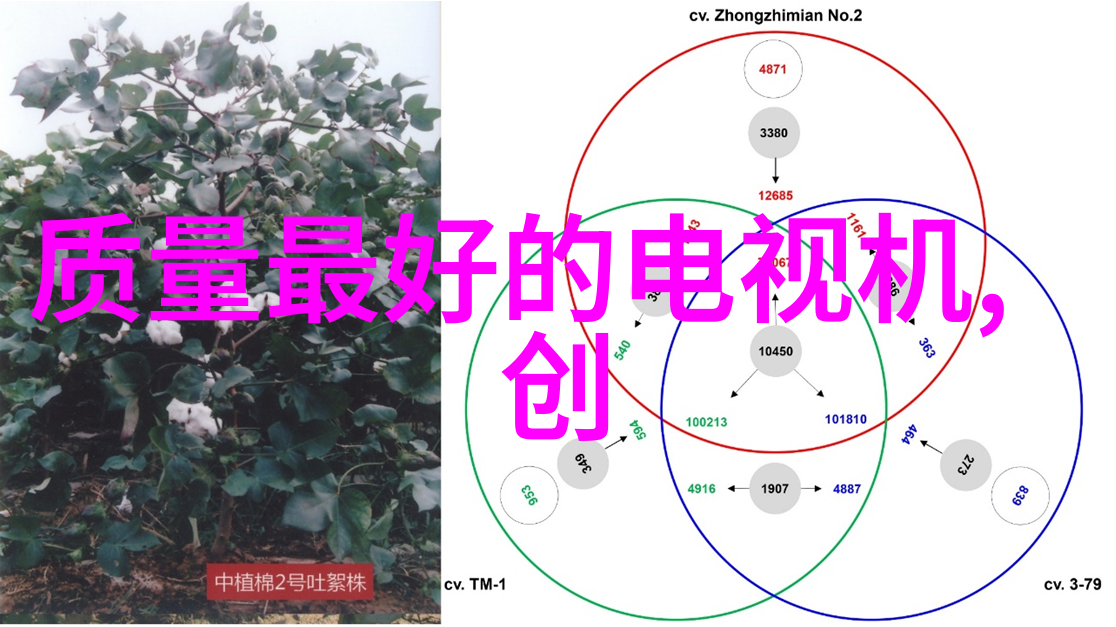 技术融合如何利用新媒体工具提升宣传报告效率