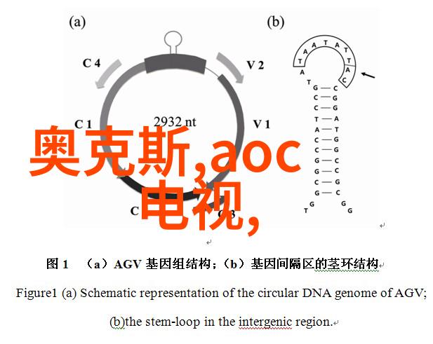 文明礼仪下的宫廷生活郡主万福的温馨故事