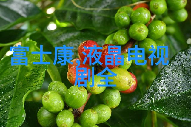 家庭冰箱温度调节的科学之道保持食品新鲜度与能效平衡