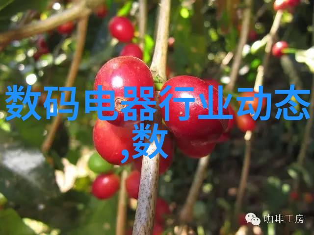 探索影视界限yy6080新影视院手机版的无限可能