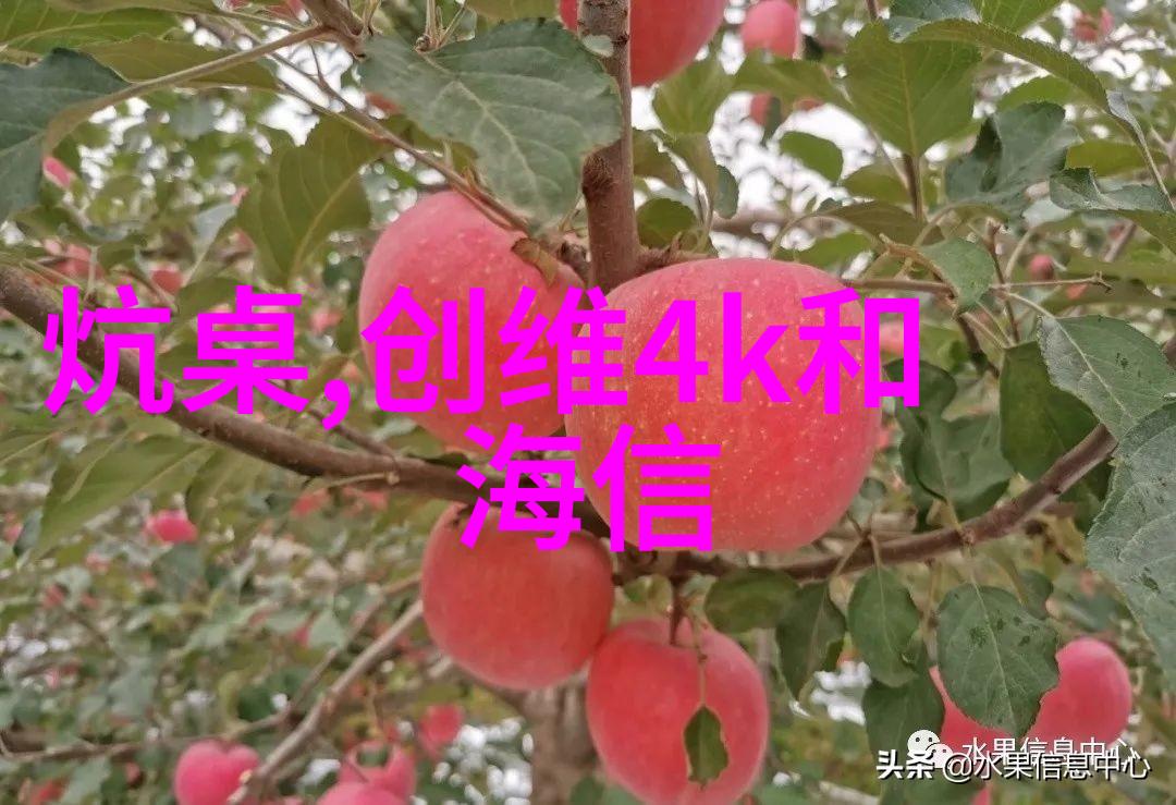 从野草到园丁之选小雏菊的种植技巧与心得分享