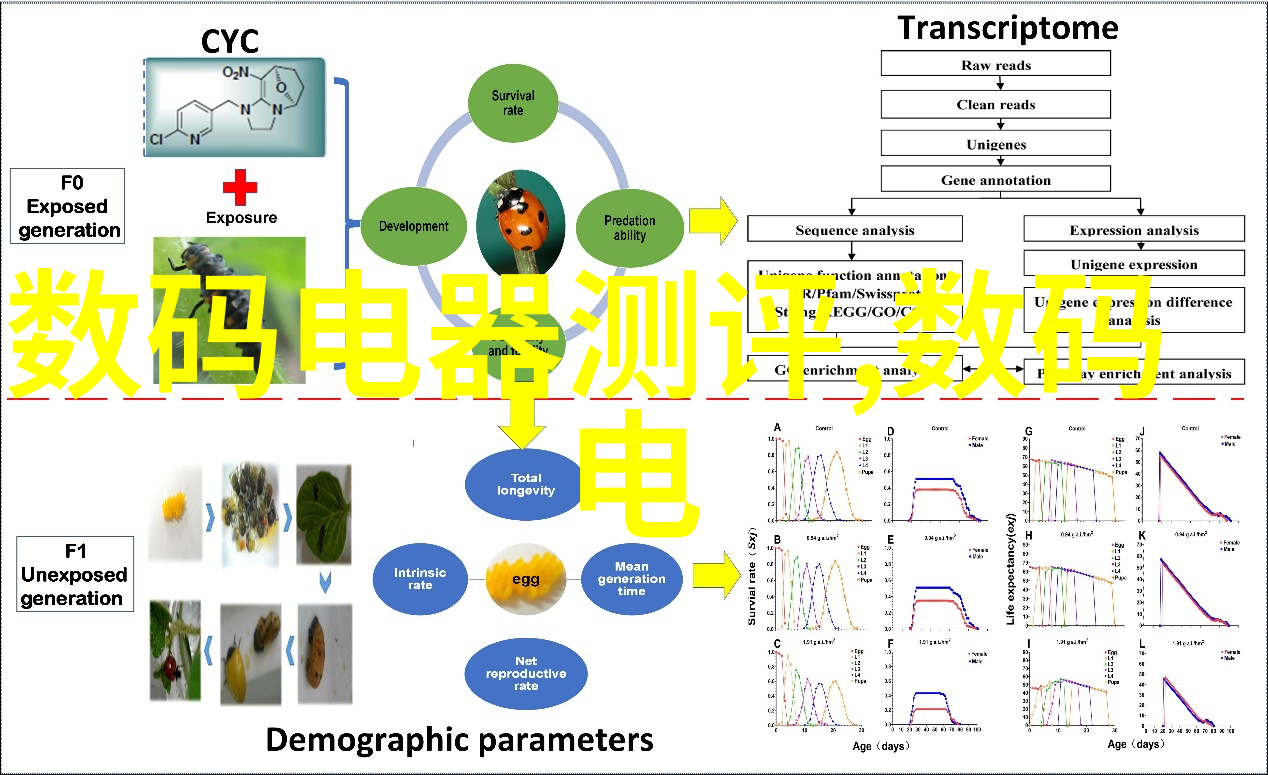 高强度PE排水管材的应用场景