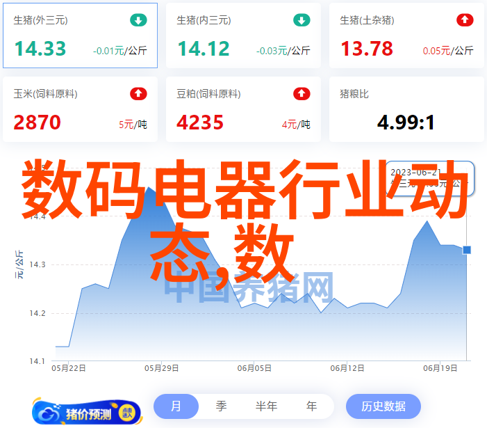 保障未来深入理解保险的重要性与选择