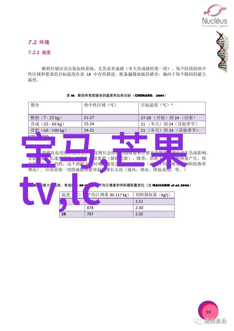 索尼RX100微单一体镜头相机的魅力与实用性