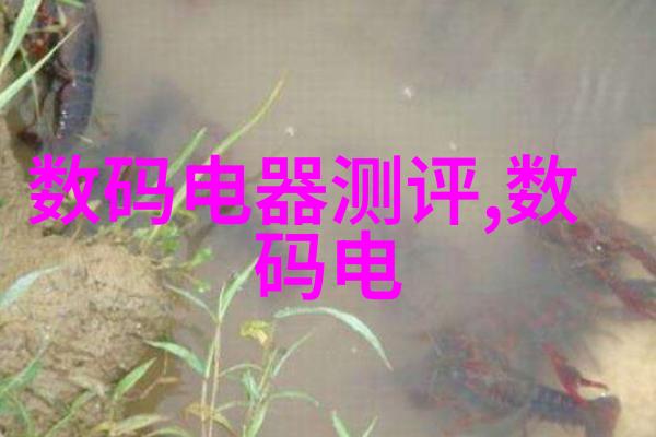 赠师花篮探究传统文化中教育敬意的植物象征