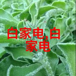 装修水电设计图我来帮你搞定这套房子的水电布局