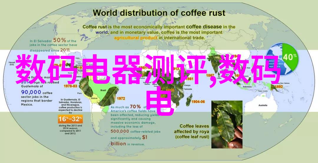 西安财经大学之谜失落的财富与古老的秘密