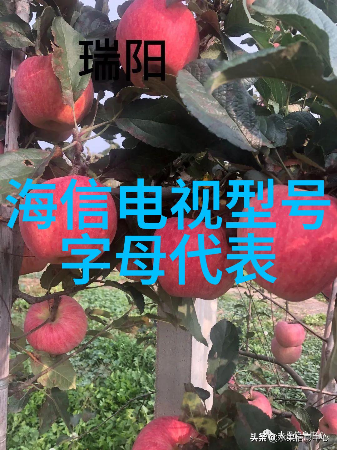 彩电的梦幻时光从黑白到彩色的视觉革命