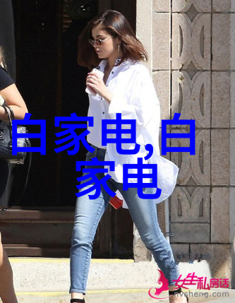 如何评价嵌接体制在促进女性就业方面的效果及其潜在挑战