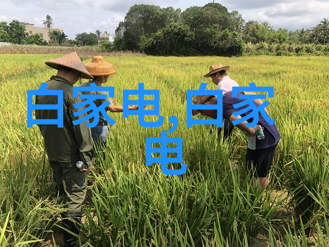 简装新中式装修效果图大全我家从旧到新的惊人变身一图流光的简约中式之旅