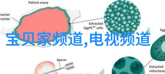 机器人背后的秘密