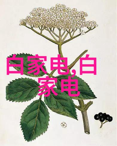 芯片革命微缩智慧的无尽可能