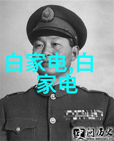 工业控制的智慧之心DCS设备的无缝运作