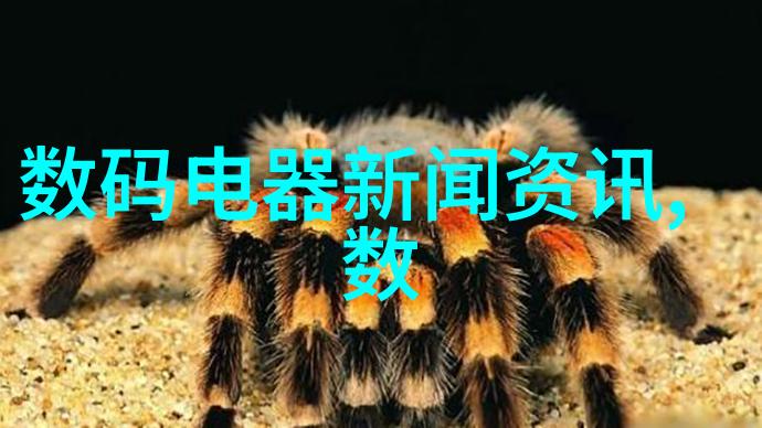 薰衣草的花语是什么-芳香传递探索薰衣草花语背后的故事