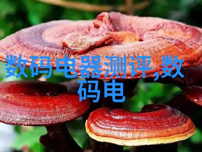 太阳能曝气机系统高效节能的绿色环保解决方案