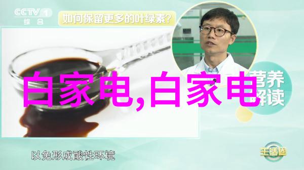 最新各种小家电我都买了哪些超实用的东西