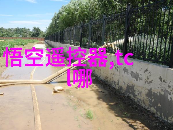 建造师的秘密他们如何在施工现场中预见和解决问题