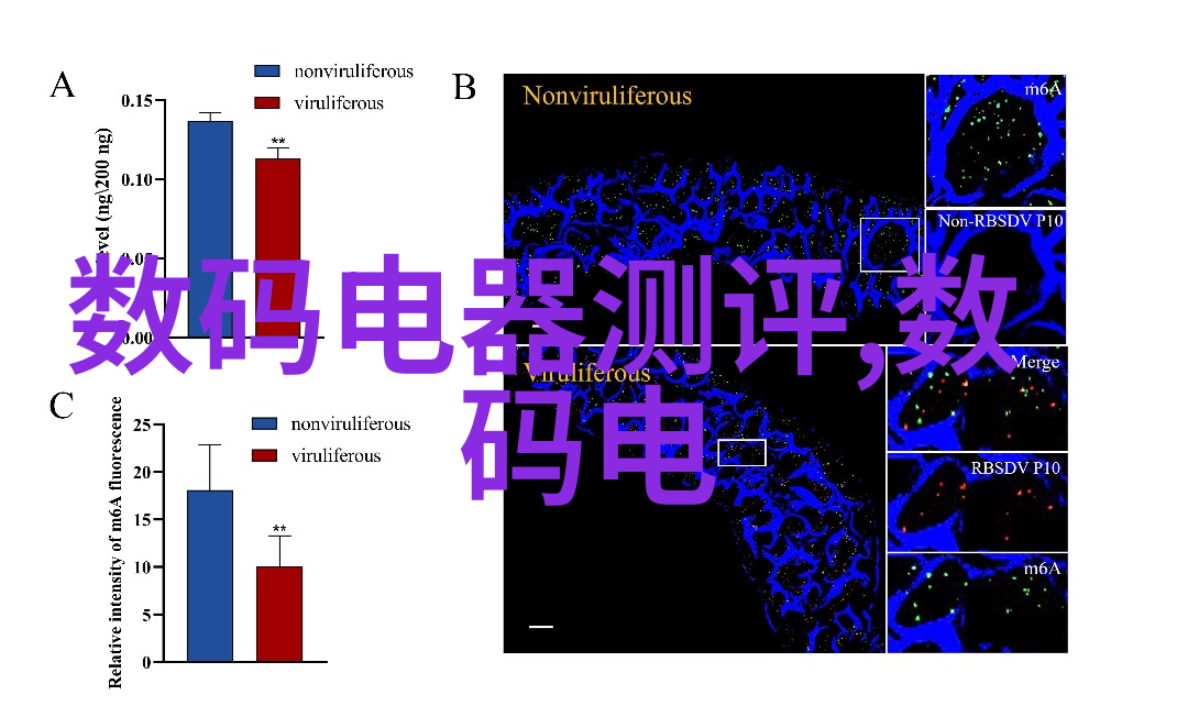 豪华别墅设计装修创造梦幻庭院与奢华生活空间