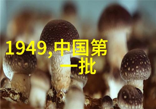 多面板系统安装与参数化硬件工控人机界面技术应用实例